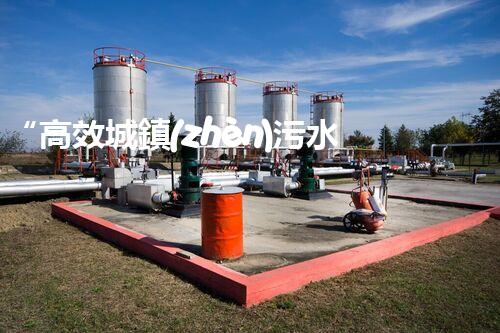 “高效城鎮(zhèn)污水處理流程，守護(hù)碧水藍(lán)天新篇章”